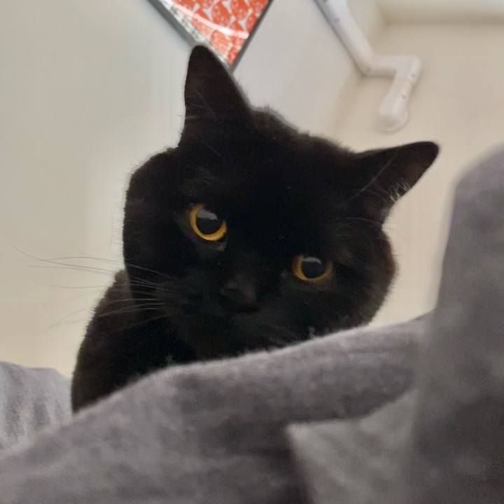 Ca4a71d6 d782 4a15 80ed 1bc455a27e24 1677968478126