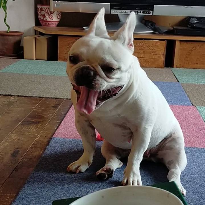 Ca4a747d feef 40a3 8d94 2f862464308a 1662676746898