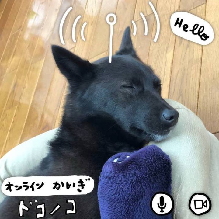 Ca4a8109 58ba 4b41 a220 dae9240ec217 1653830819042