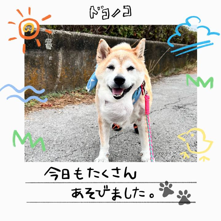 Ca4a9b22 3b77 4f81 8451 75cf5691bb12 1755055770746