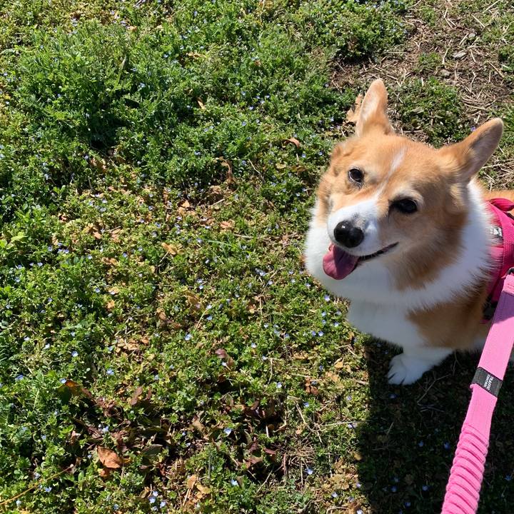 Ca4abc18 c2c5 4ac0 98ff d975dbacf648 1709265685363