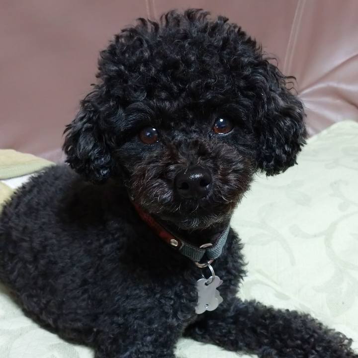 Ca4ac07a eb0a 4ebc b008 c5300bc5c5ab 1585459240599