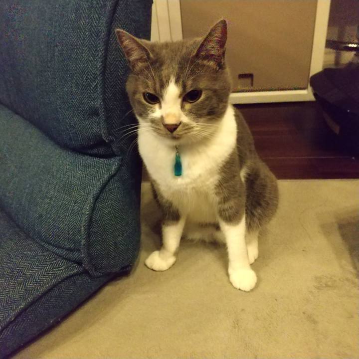 Ca4ada43 1111 4fc7 bbdf 34ba0f75ea9b 1626091820363