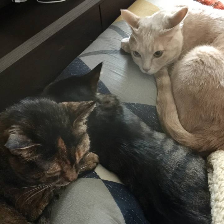 Ca4b2d77 b713 4135 aa4a 011c281dfae0 1519172218053