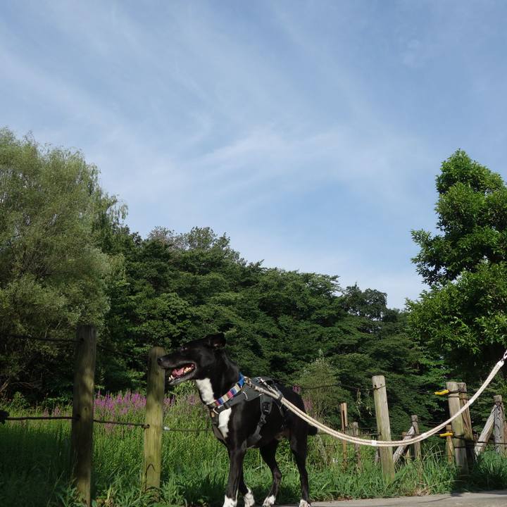 Ca4b4cbc 2b5f 4996 8fa4 78f57f3ce6ab 1657323914449