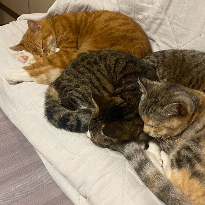 Ca4b4cde 580c 4819 9e57 77fbfabdac5f 1617794295653