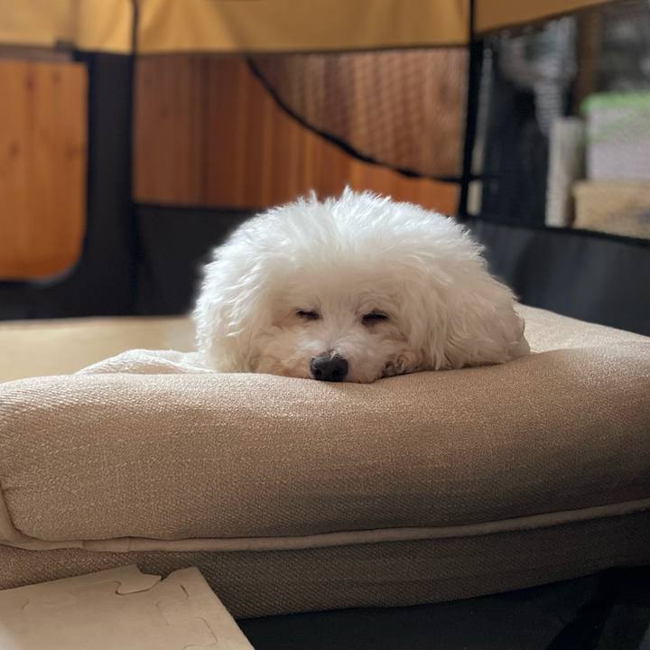 Ca4b672f 2b7f 4c88 bb52 d24772bae3a0 1691371477865