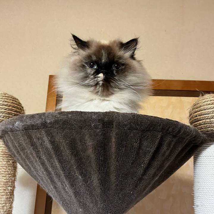 Ca4b92f4 0f3b 4cc8 8ab2 ac9dfc8e0e46 1674218716129