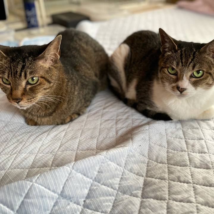 Ca4b9a23 2ed9 4d31 8eb1 c258877f679f 1623112890488