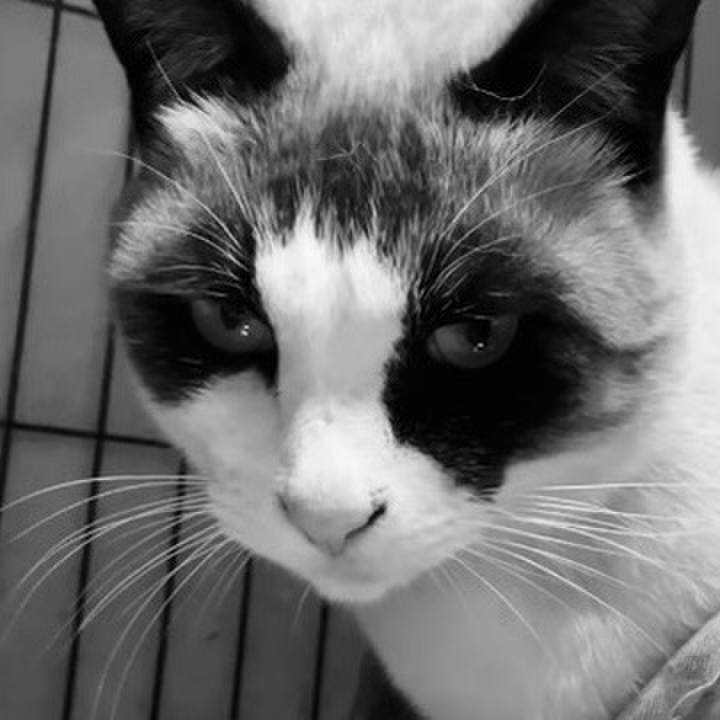 Ca4bb140 e73c 4ebb 8244 cbd51b4abc84 1739792854694