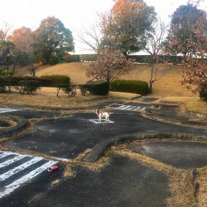 Ca4bc7c1 60d9 4933 b70e 6db1615cbf55 1513848733058