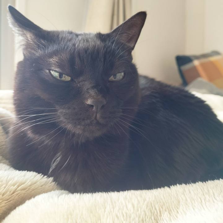 Ca4bdf54 f6df 48e9 823b 878cbd24ef24 1710721311010