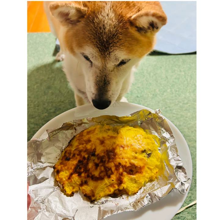 Ca4c019e e5e4 4879 9295 a88313452d5f 1759566695641