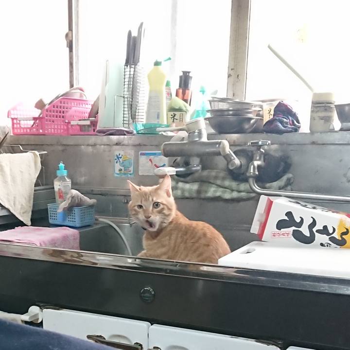 Ca4c1250 3271 4285 9a86 7afffe9b1892 1638759364163