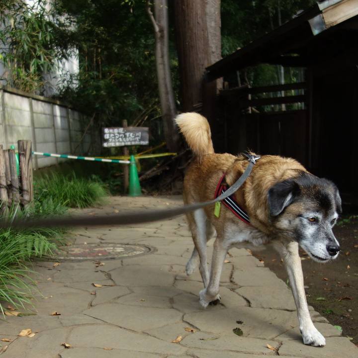 Ca4c54f5 3317 4810 bfde 2b9f9e741209 1539994649270