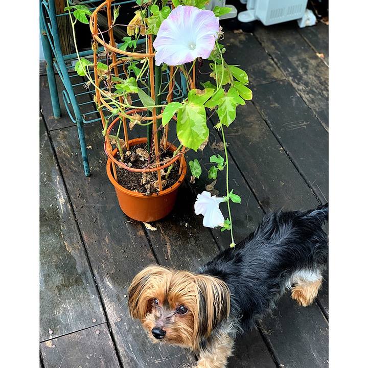 Ca4c624b 4379 4b87 9437 a6de6134f06a 1597701510472