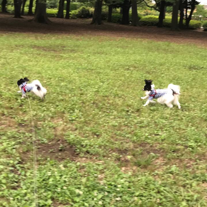 Ca4c7937 7051 431f bb23 7b994aaacc73 1528936112187