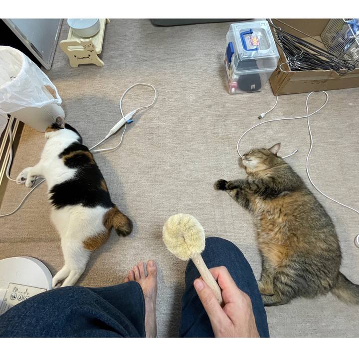 Ca4ca7cf f54c 48bc 86b2 e4585618148f 1632609314865