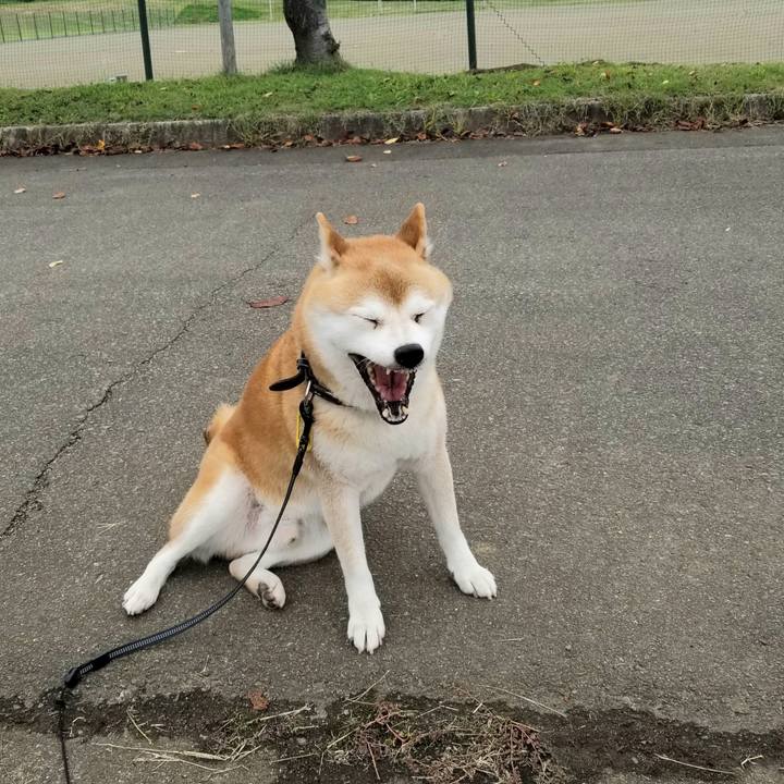 Ca4cbe3e 05bb 47fb a7ea 981cc80d3e14 1602221999673