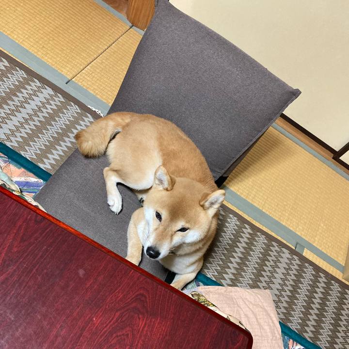 Ca4cd261 fa36 4125 9f70 1623783e3a0e 1645232900757