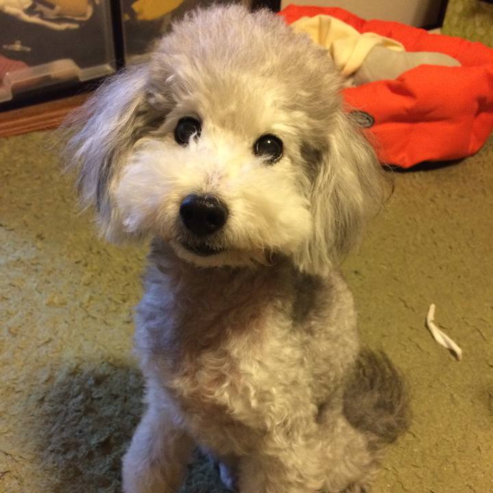 Ca4cd266 9bc4 4490 abbf 98269f59b158 1510142860081