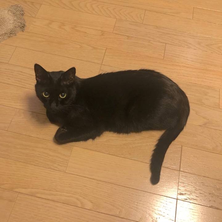 Ca4d0795 e3b5 4a39 9bab 7497d2c1b6e4 1571311108789