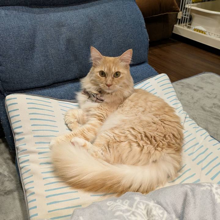 Ca4d1b70 b697 4ee2 895b 8752389cf052 1738584144877