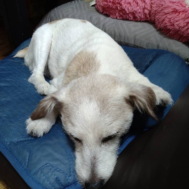 Ca4d2e64 32ce 4940 bc50 2ba459fc8f06 1726314036813