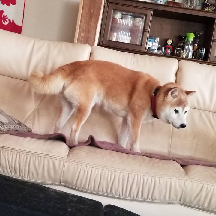 Ca4d8489 b56b 445f 9b58 13974c37aafd 1752120404318