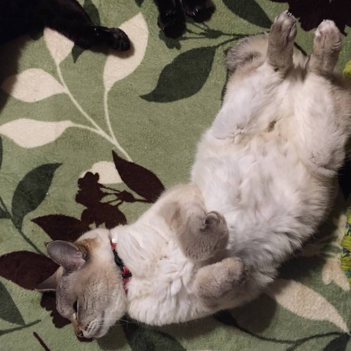 Ca4df232 371d 4206 a143 5a63f140fe54 1587293559942