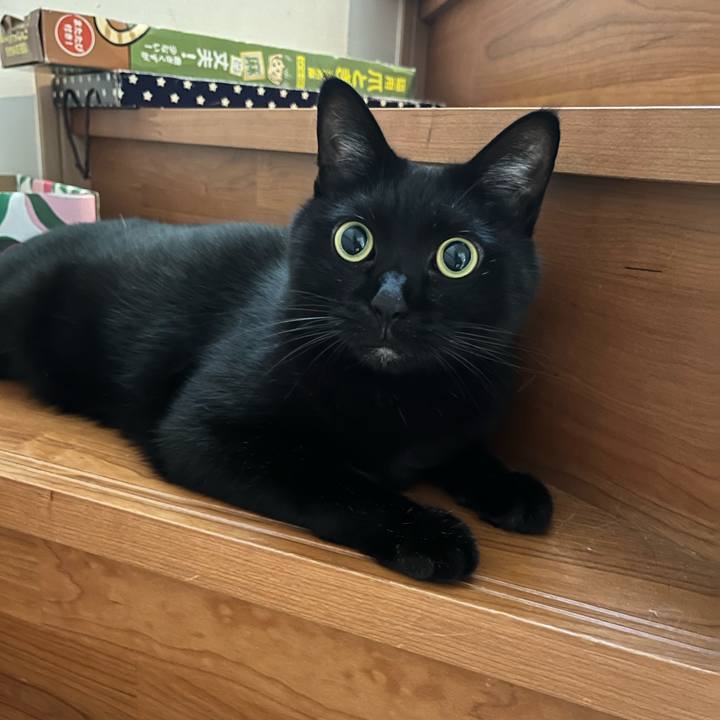 Ca4e0044 5d2c 42fe 84ef a516ae16eef2 1726099182000