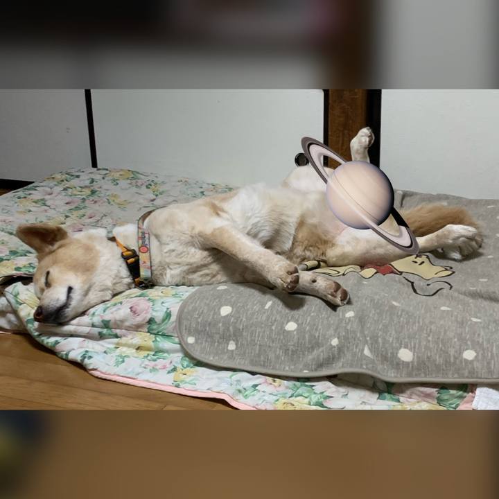 Ca4e51c5 07de 4582 8839 a08b743a6d15 1586788295775