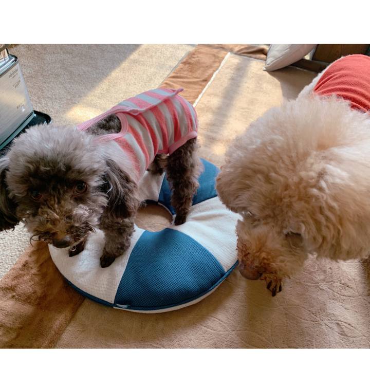 Ca4e66af b0b0 4751 9812 17765c4453f4 1581567720145