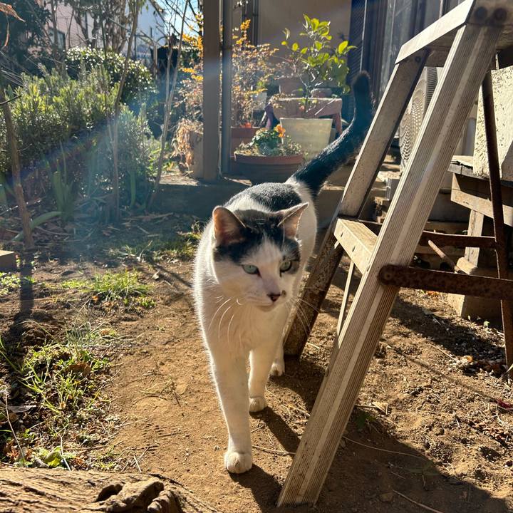 Ca4e7bb4 e19f 4ac6 aeca 623251a67da2 1706756589115