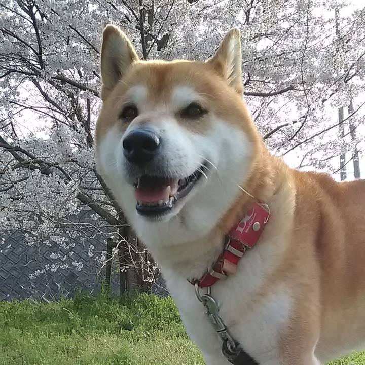 Ca4e8501 4362 4550 97c9 549140354c91 1617016006905