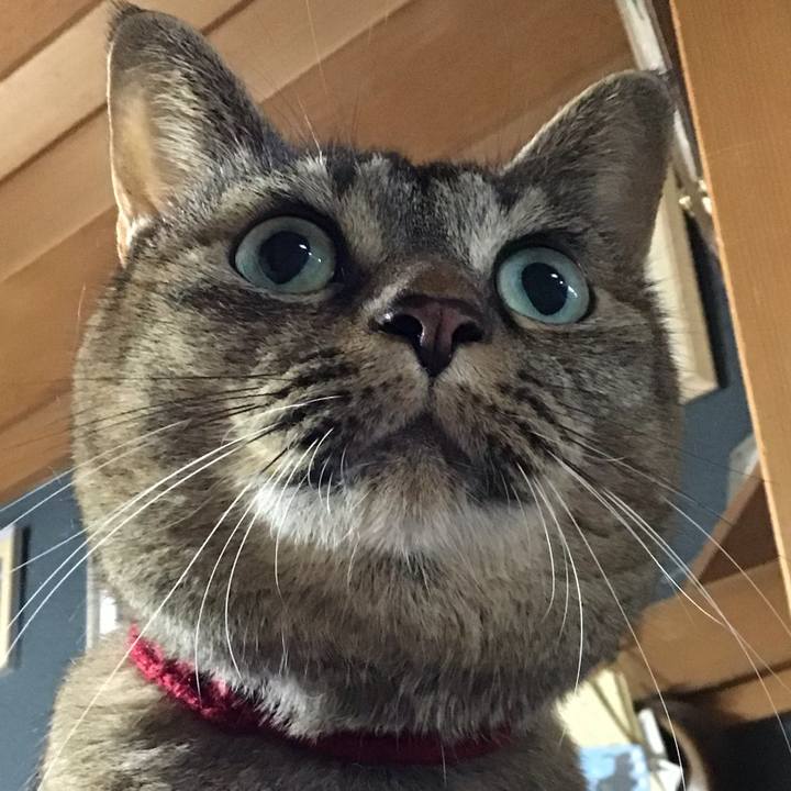 Ca4e9077 1984 4044 860f bc16e8cfac08 1728465175546