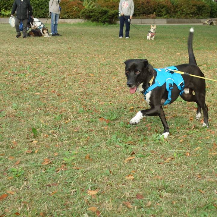 Ca4e908f e4b2 4824 a777 c6faed0982f8 1603844188983