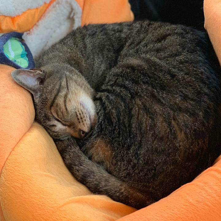 Ca4ed4d7 eb51 434d 9b6a 7dab02156092 1562634154594