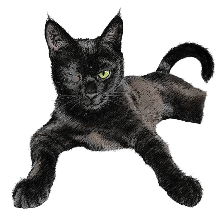 Ca4efac3 18b0 4d3e 9b4e 2d9fb6619459 1595304848556