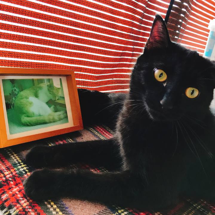 Ca4f7328 e551 45a1 9387 d469fb3c5eea 1536803550782