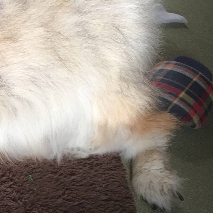 Ca4f7577 30f8 4974 960d 21b780d73a41 1587352374683