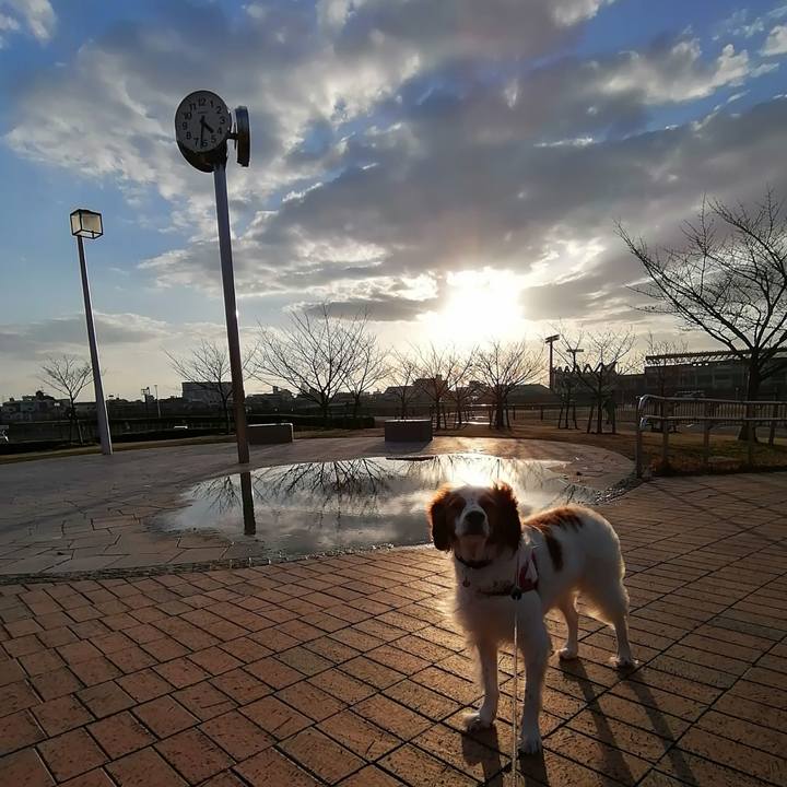 Ca4f7b0a 8cab 425e 9e7a 86747a57c0fe 1611735470990