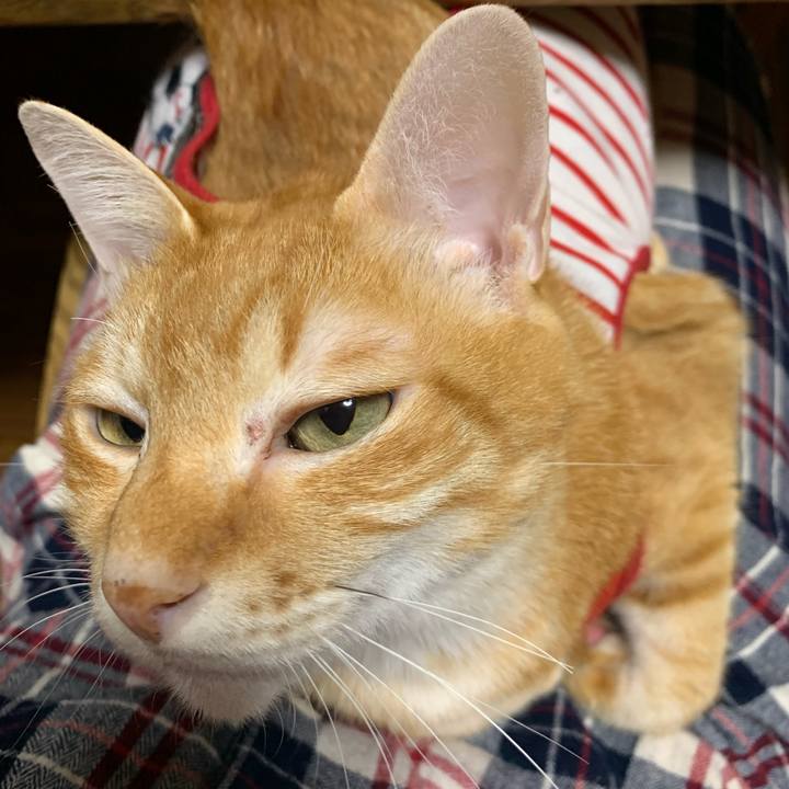 Ca4f8258 b803 4e12 a768 967300482c1d 1579787940781