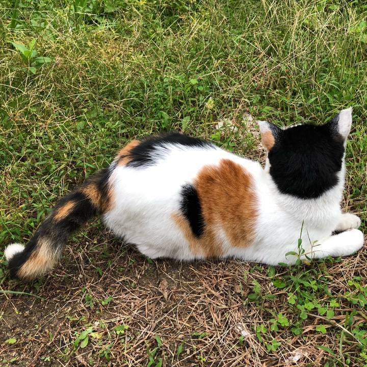 Ca4f8ea4 b68e 44d4 a289 469a4185fe5b 1601071860152