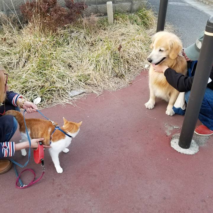 Ca4f9008 6ce0 468d 9d57 d1429acd5a6d 1521370584352