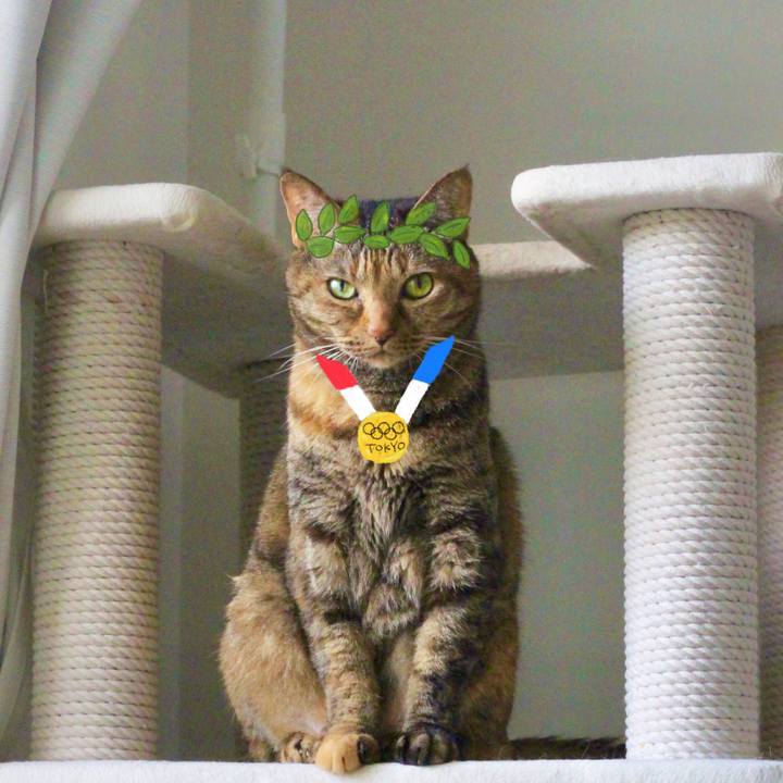 Ca4f902d 9d60 42ab 9f37 5e2169090330 1627387725367