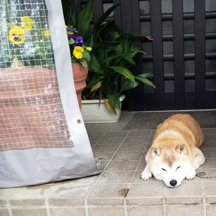 Ca4f9897 7967 4dac a5d5 0e9fb4979057 1712623520587