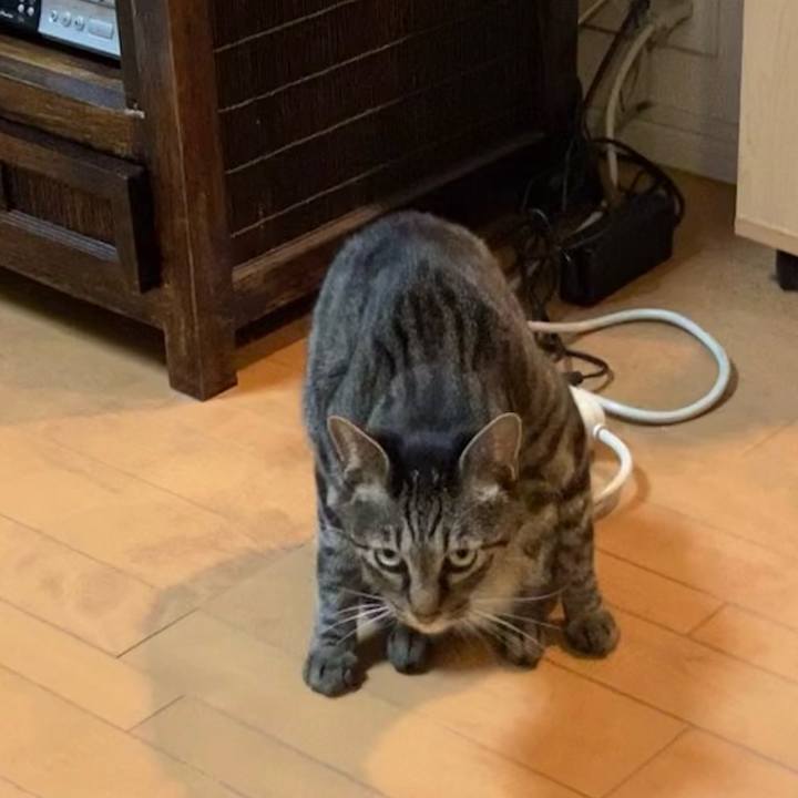 Ca4fa946 0296 43d2 a44a 421fa496729f 1658931007064