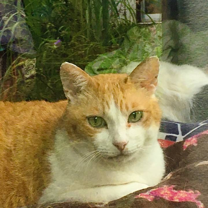 Ca4fb34d 8a42 4c1a 8057 9d7aebc8bcc6 1625556915709