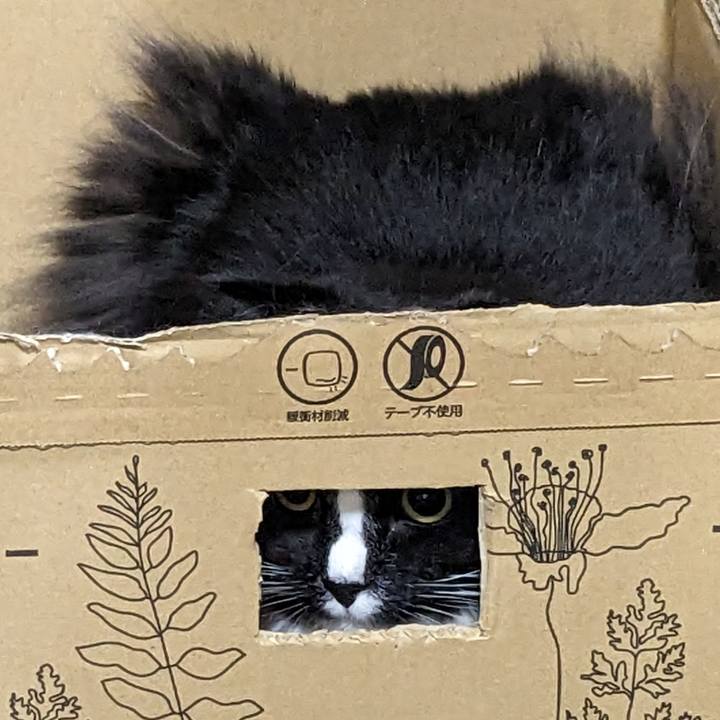 Ca4fce8b 8040 4dbf 8eea baba4a6f25d1 1673007598084